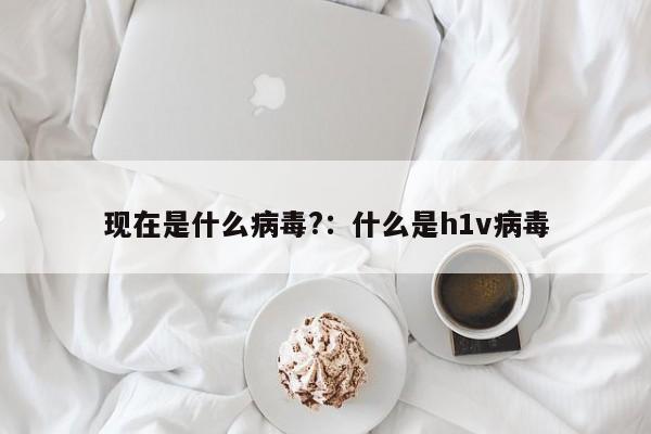 现在是什么病毒?：什么是h1v病毒