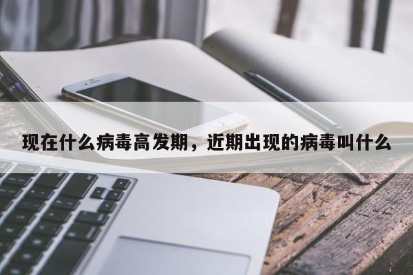 现在什么病毒高发期，近期出现的病毒叫什么
