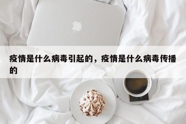 疫情是什么病毒引起的，疫情是什么病毒传播的