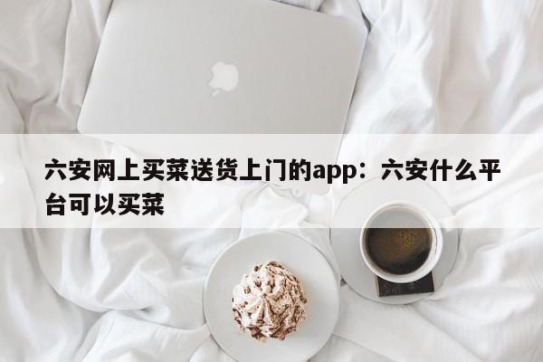 六安网上买菜送货上门的app：六安什么平台可以买菜