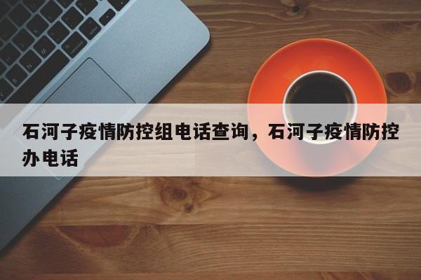 石河子疫情防控组电话查询，石河子疫情防控办电话